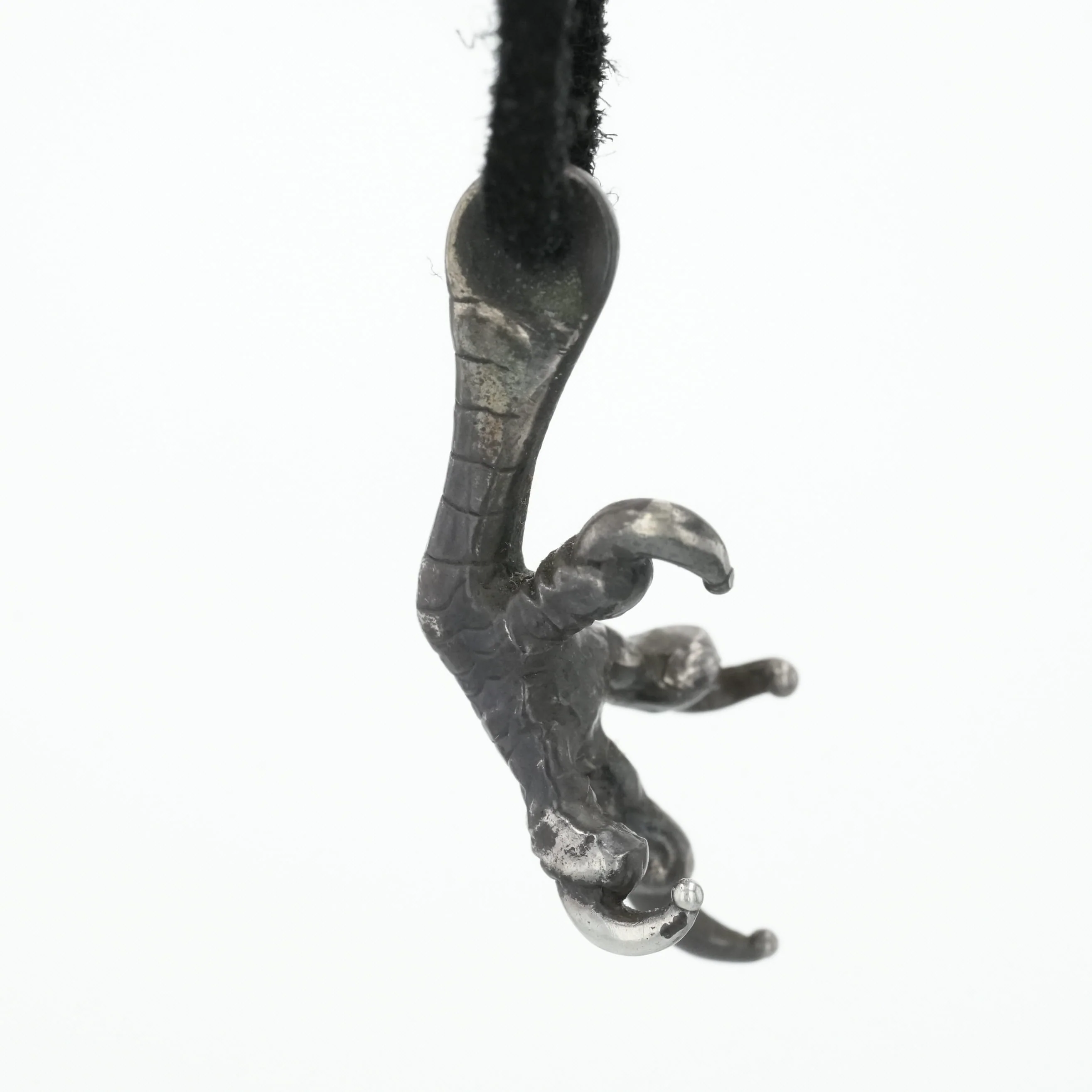 SVツメトップ - Image 6