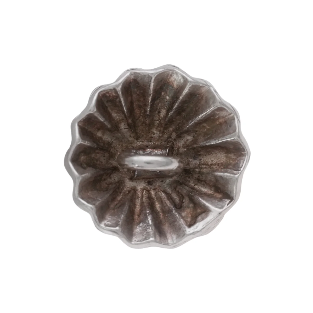 SVアポロコンチョ貝(大) - Image 3